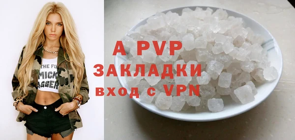крисы Абаза