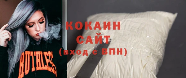 крисы Абаза