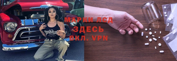 крисы Абаза