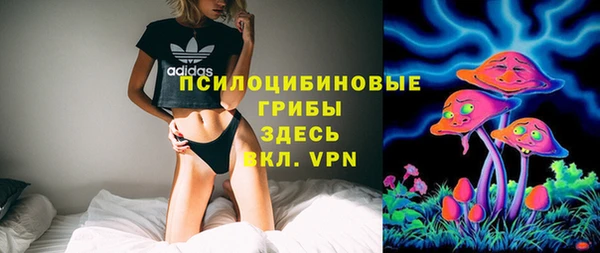 крисы Абаза