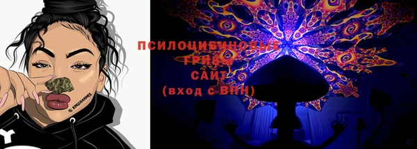 ГАЛЛЮЦИНОГЕННЫЕ ГРИБЫ Приозерск