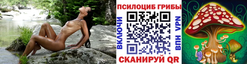 darknet какой сайт  Белый  Галлюциногенные грибы Cubensis 